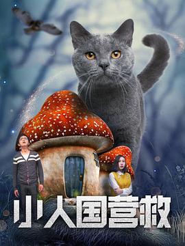 gogo全球大胆