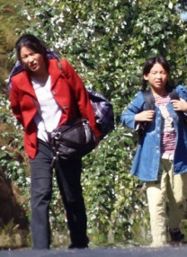 视频一二三区